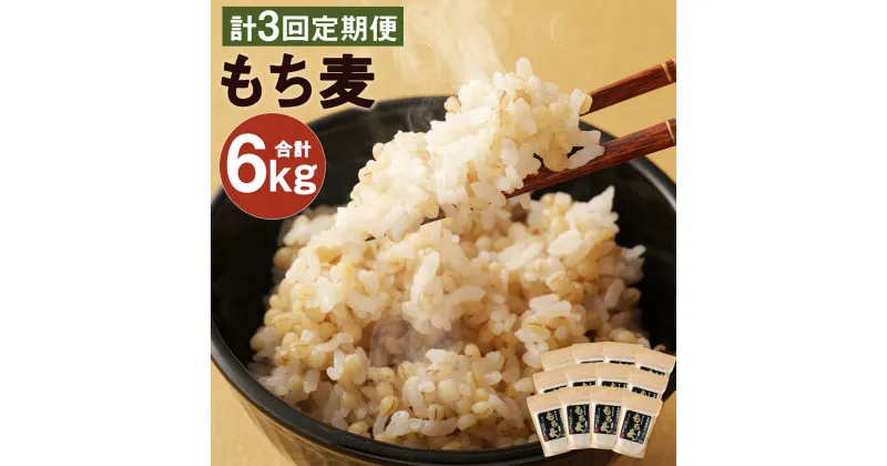 【ふるさと納税】【定期便3回】熊本県産 もち麦 合計6kg 2kg×3回 大麦 ダイシモチ モチ麦 食物繊維 令和2年産 九州産 国産 送料無料 【入金確認後の翌月以降、3月・7月・11月にお届け】