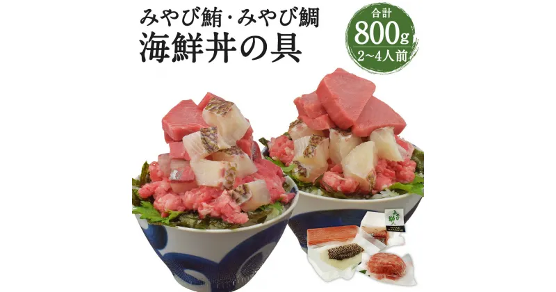 【ふるさと納税】活魚ほうらい名物 無限大量 漁師めし ぶつ切り 4種類×各200g 合計800g 2〜4人前 鯛 マグロ カンパチ 海鮮丼 冷凍 熊本県産 九州産 国産 送料無料