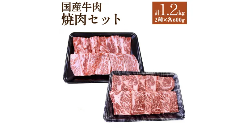 【ふるさと納税】国産牛肉 焼肉セット 約600g×2種類 合計約1.2kg タレ付き 食べ比べ 焼き肉 焼き肉 ロース カルビ 国産 牛肉 冷凍 送料無料