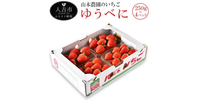 【ふるさと納税】山本農園のいちご ゆうべに 約250g×4パック 苺 イチゴ 国産 九州産 熊本県産 果物 フルーツ 送料無料【2024年11月下旬より順次発送予定】