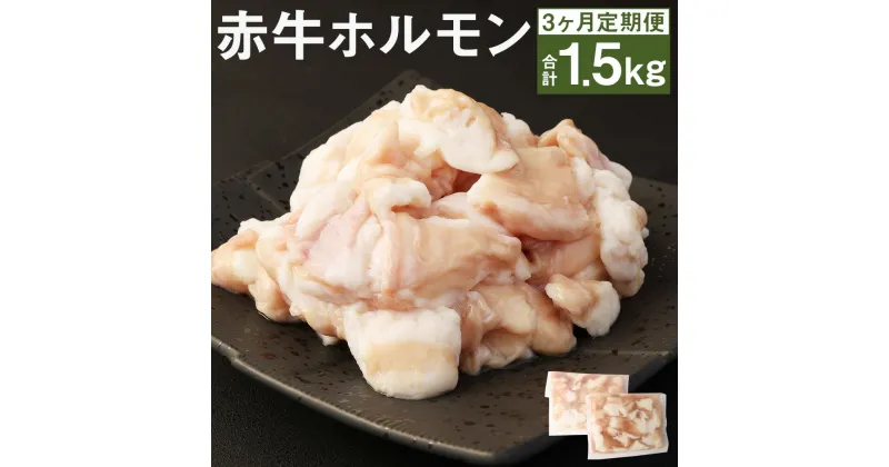 【ふるさと納税】【3ヶ月定期便】赤牛 ホルモン 250g×2パック×3回お届け 合計1.5kg 3ヶ月 定期便 ホルモン 小腸 牛ホルモン もつ 熊本県産 九州産 国産 冷凍 送料無料