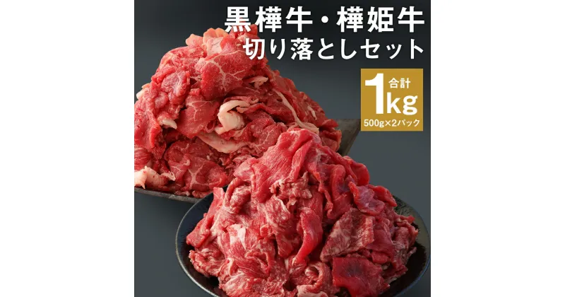 【ふるさと納税】黒樺牛・樺姫牛 切り落としセット 合計1kg 500g×各1パック 食べ比べ 2種類 セット お肉 牛肉 和牛 はなひめうし くろはなぎゅう スライス 熊本県産 九州産 国産 冷凍 送料無料