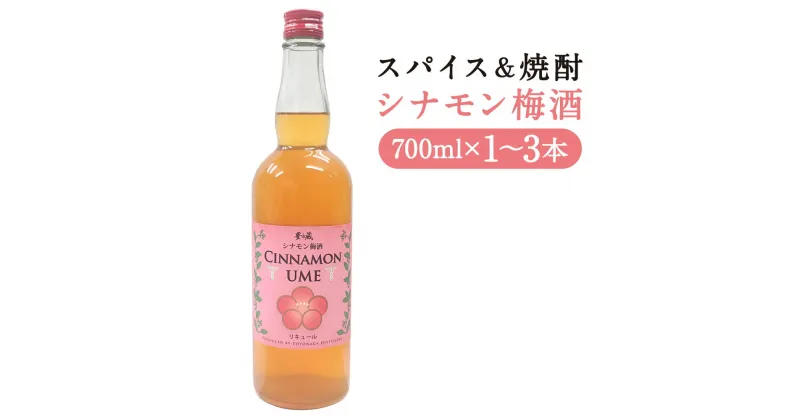 【ふるさと納税】スパイス＆焼酎 シナモン梅酒 700ml 1本/2本/3本 選べる本数 お酒 アルコール スパイス焼酎 本格焼酎 焼酎 梅酒 球磨焼酎 リキュール 人吉市 送料無料