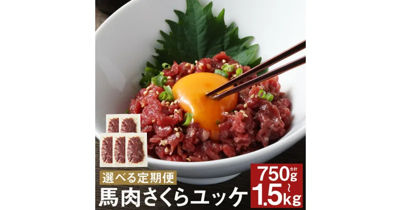 【ふるさと納税】【選べる定期便】馬肉さくらユッケ 250g 3ヶ月定期便/6ヶ月定期便 1パック50g 馬刺し 赤身 お肉 馬肉 ユッケ 真空パック 小分け 五右衛門フーズ 冷凍 送料無料