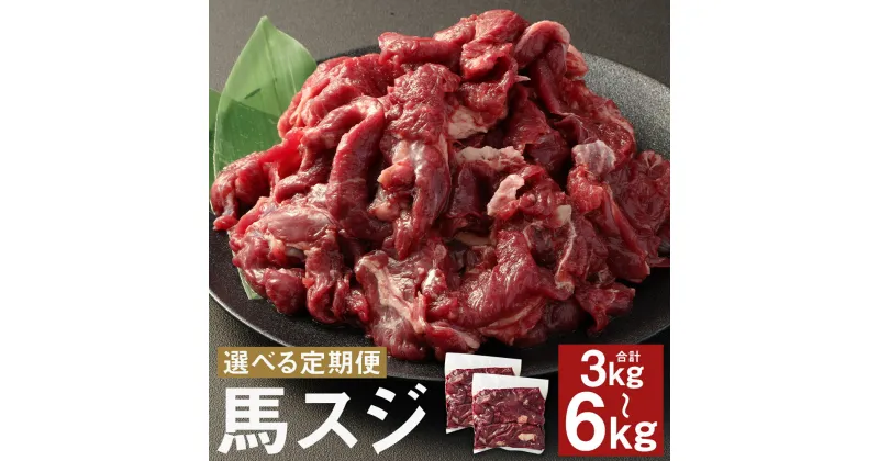 【ふるさと納税】【選べる定期便】馬スジ 1kg 3ヶ月定期便/6ヶ月定期便 1パック500g スジ 馬肉 馬すじ お肉 小分け 五右衛門フーズ 冷凍 送料無料