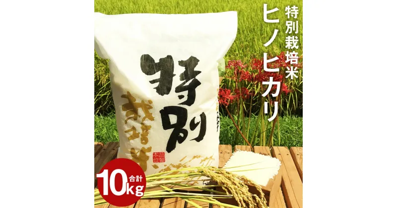 【ふるさと納税】特別栽培米 ヒノヒカリ 合計10kg 5kg×2袋 精米 白米 令和6年産 お米 九州産 熊本県産 熊本県球磨郡相良村産 送料無料