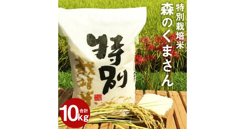 【ふるさと納税】特別栽培米 森のくまさん 合計10kg 5kg×2袋 精米 白米 令和6年産 お米 九州産 熊本県産 熊本県球磨郡相良村産 送料無料