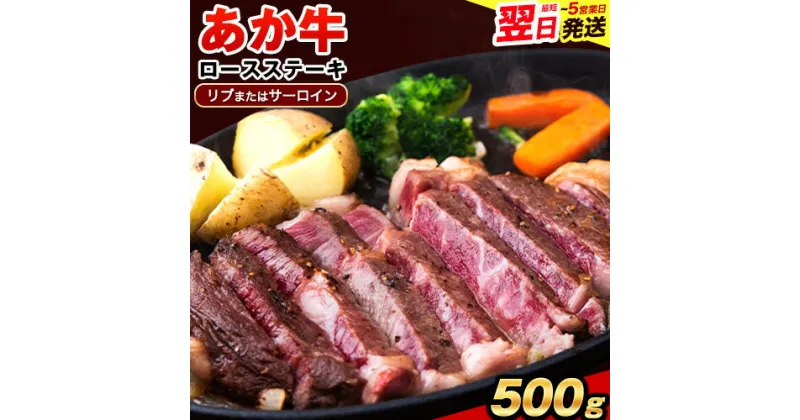 【ふるさと納税】あか牛（褐毛和種）ロースステーキ (リブまたはサーロイン) 250g×2 500g 熊本県産 肉 和牛 牛肉 赤牛 あかうし リブロース サーロイン 冷凍《1-5営業日以内に出荷予定(土日祝除く)》