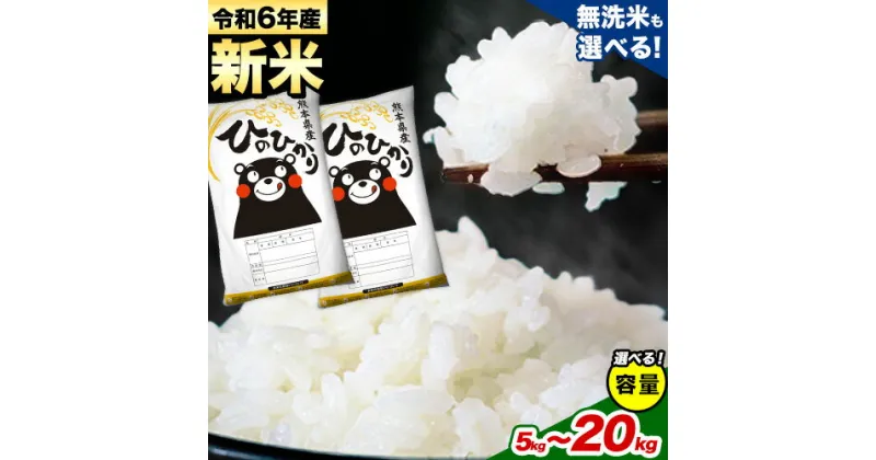 【ふるさと納税】 令和6年産新米 早期先行予約受付中 ひのひかり 5kg 10kg 12kg 15kg 18kg 20kg 熊本県産 (荒尾市産含む) 白米 無洗米 精米 荒尾市 ひの 米 定期 《出荷時期をお選びください》