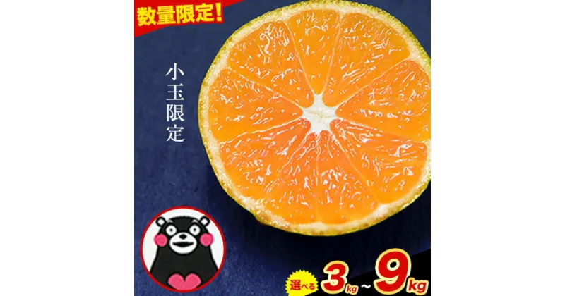 【ふるさと納税】 訳あり みかん ひとくちもぎたてみかん 約 3kg (3kg×1箱) 約 6kg (3kg×2箱) 約 9kg (9kg×1箱) 選べる S-3Sサイズ 訳あり ご家庭用 熊本県産 （荒尾市産含む） 期間限定 フルーツ 果物 旬 冬 柑橘 小玉 みかん《10月下旬-11月中旬頃出荷》