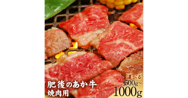 【ふるさと納税】肥後のあか牛 焼肉用 500g 1000g アントレ 牛肉 あか牛 赤牛 あかうし《30日以内に出荷予定(土日祝除く)》