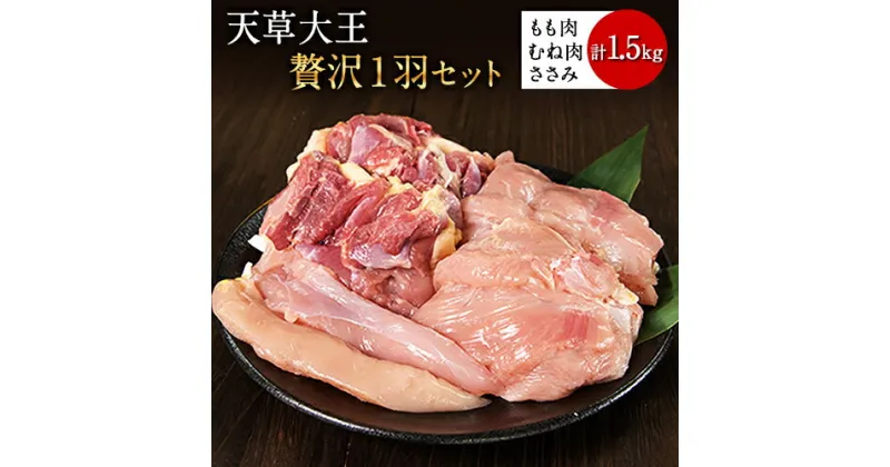 【ふるさと納税】天草大王 贅沢1羽セット 約1.5kg【幻の地鶏】もも・むね・ささみ 各2枚《60日以内に出荷予定(土日祝除く)》