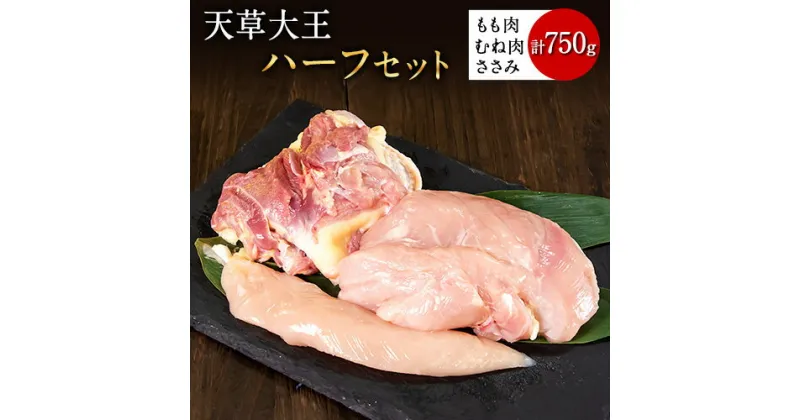 【ふるさと納税】天草大王　ハーフセット 約750g【幻の地鶏】もも・むね・ささみ各1枚 熊本県産 荒尾市《60日以内に出荷予定(土日祝除く)》