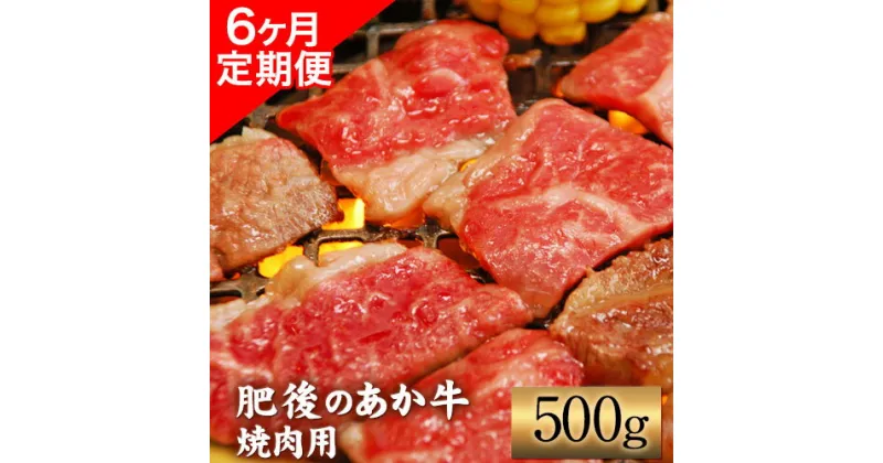 【ふるさと納税】6ヶ月定期便 肥後のあか牛 焼肉用 500g（計6回お届け×500g 合計:3kg） アントレ 牛肉 あか牛 赤牛 あかうし《お申込み月の翌月から出荷開始》