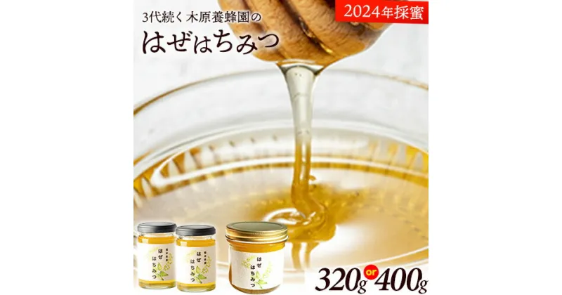 【ふるさと納税】はちみつ はぜはちみつ 選べる内容量 320g(160g×2本) または400g 蜂蜜 国産 熊本県荒尾市産 純粋蜂蜜 木原養蜂園《30日以内に出荷予定(土日祝除く)》