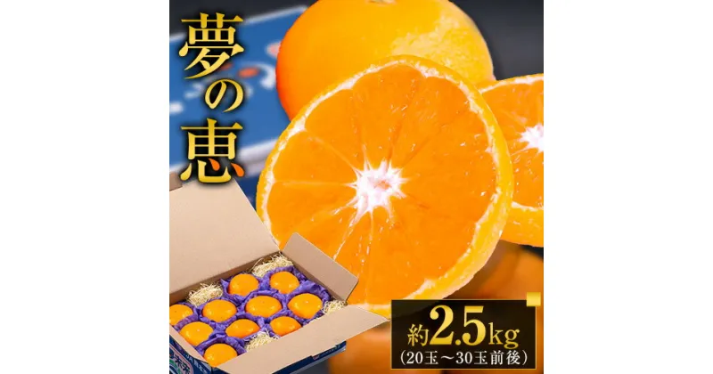 【ふるさと納税】 みかん 贈答用 秀品 夢の恵 約2.5kg (20玉～30玉前後) 光センサー 熊本県産 （荒尾市産含む） 糖度12度以上 ブランドみかん ブランド 贈答用 贈り物《11月中旬-12月下旬頃出荷》 熊本県 荒尾市 フルーツ 果物 くだもの