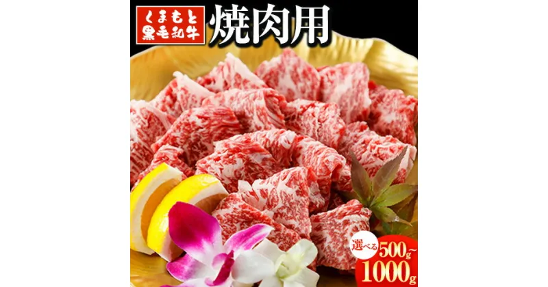 【ふるさと納税】くまもと黒毛和牛 焼肉用 500g 1000g《30日以内に出荷予定(土日祝除く)》アントレ