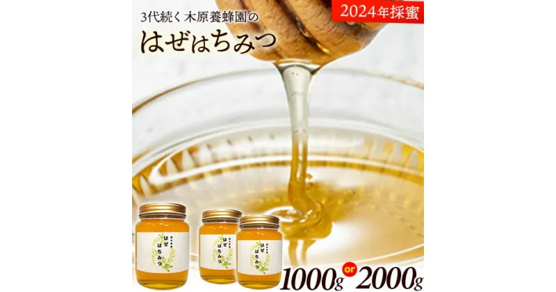 【ふるさと納税】はちみつ はぜはちみつ 選べる内容量 1000g または2000g(1000g×2本) 蜂蜜 国産 熊本県荒尾市産 純粋蜂蜜 木原養蜂園《30日以内に出荷予定(土日祝除く)》