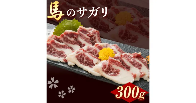 【ふるさと納税】 馬のサガリ 300g 桜屋《30日以内に出荷予定(土日祝除く)》 馬刺し 馬肉 熊本県 荒尾市 肉 サガリ