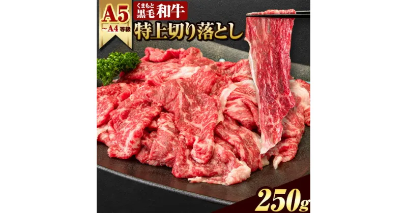 【ふるさと納税】くまもと黒毛和牛 ウデ・モモ 赤身スライス切り落とし 250g (250g×1) 牛肉 冷凍 《60日以内に出荷予定(土日祝除く)》冷凍庫 個別 取分け 小分け 個包装 モモ スライス 肉 お肉 しゃぶしゃぶ すき焼き A5 A4