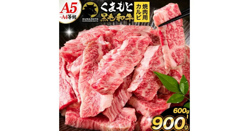 【ふるさと納税】くまもと黒毛和牛 上 カルビ 焼肉 切り落とし 600g 900g《30日以内に出荷予定(土日祝除く)》熊本県 荒尾市 上カルビ 焼肉用 黒毛和牛 焼肉 肉 お肉 和牛 A5 A4 300g 小分け