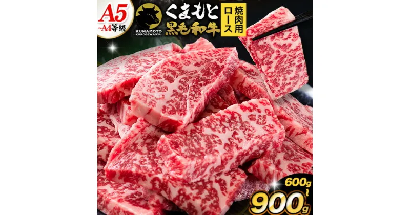 【ふるさと納税】くまもと黒毛和牛 上 ロース 焼肉 切り落とし 600g 900g《30日以内に出荷予定(土日祝除く)》熊本県 荒尾市 上ロース 焼肉用 黒毛和牛 焼肉 肉 お肉 和牛 A5 A4 300g 小分け リブロース サーロイン