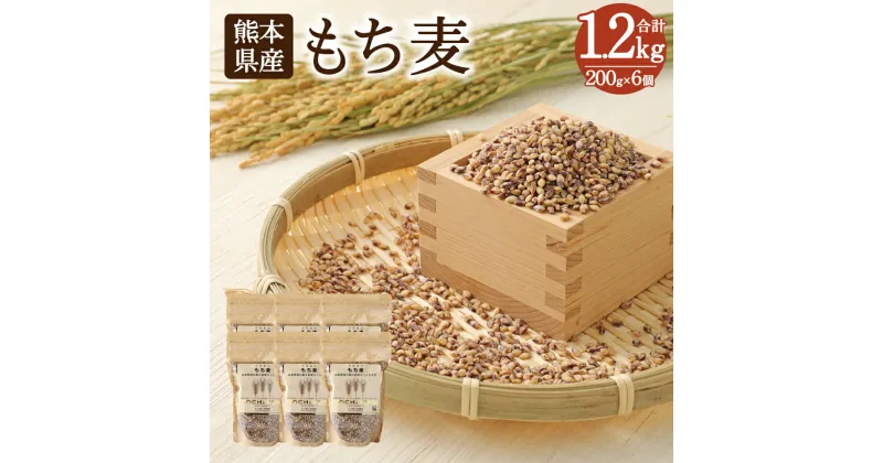 【ふるさと納税】もち麦 200g×6個 計1.2kg セット 麦 ダイシモチ 食物繊維 純国産 熊本県産 水俣市産 送料無料