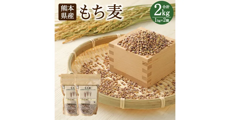 【ふるさと納税】もち麦 1kg×2個 計2kg セット 麦 ダイシモチ 食物繊維 純国産 熊本県産 水俣市産 送料無料