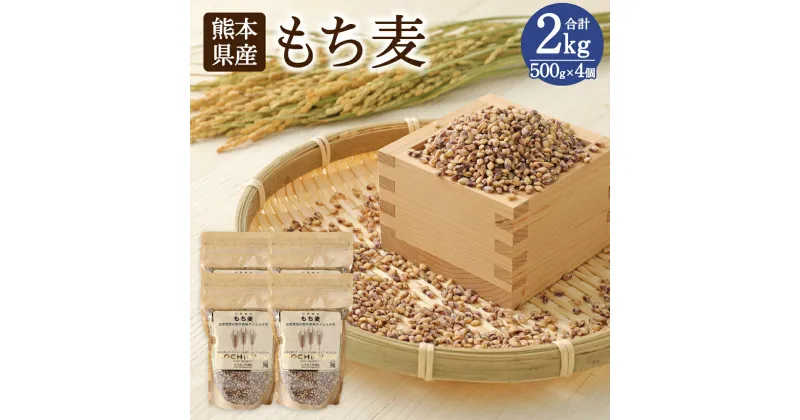 【ふるさと納税】もち麦 500g×4個 計2kg セット 麦 ダイシモチ 食物繊維 純国産 熊本県産 水俣市産 送料無料