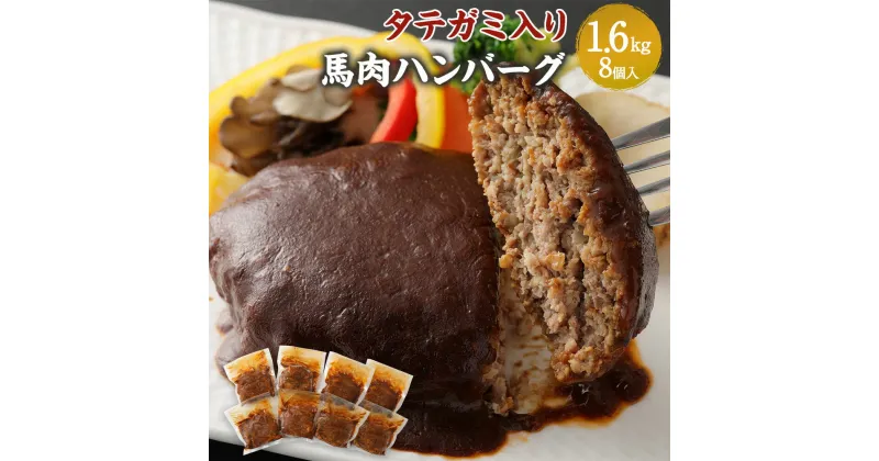 【ふるさと納税】タテガミ入り馬肉ハンバーグ 8個セット 合計約1.6kg 200g×8個 デミグラスソース ハンバーグ 馬肉 惣菜 おかず 真空パック 冷凍 たてがみ コウネ 送料無料