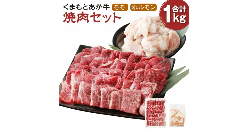 【ふるさと納税】くまもとあか牛 焼肉セット 計1000g モモ700g ホルモン300g 肉 お肉 牛肉 熊本県産 九州産 国産 あか牛 赤牛 褐牛 和牛 焼き肉 焼肉 グルメ 冷凍 送料無料