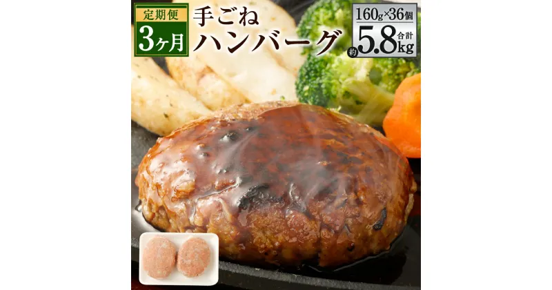 【ふるさと納税】【3ヶ月定期便】手ごねハンバーグ 合計約5.8kg 約160g×12個×3回 合計36個 ハンバーグ 合挽肉 合い挽き肉 牛肉 豚肉 惣菜 簡単調理 焼くだけ セット 詰め合わせ 冷凍 九州産 送料無料