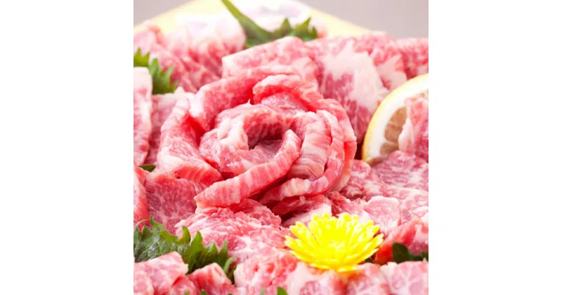 【ふるさと納税】熊本 馬刺し 極上霜降り(大トロ)500g+馬肉ユッケ500g 合計1kgセット たれ・生姜付き 小分け 真空パック 国内肥育 生食用 新鮮 冷凍 送料無料