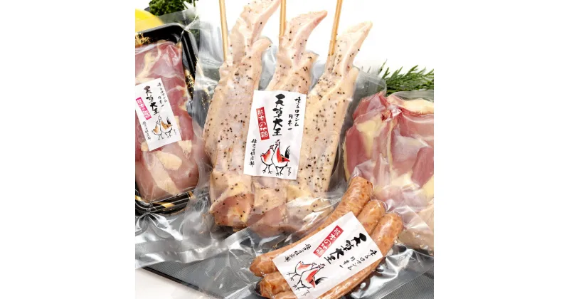 【ふるさと納税】天草大王 アウトドアセット 幻の鶏 キャンプ BBQ 骨付きもも肉500g!! 大手羽先 ソーセージ ブツ切りミックス 合計約1.1kg 鶏肉 モモ肉 胸肉 ウィンナー バーベキュー キャンプ 真空パック 冷凍 国産 九州 熊本県 送料無料