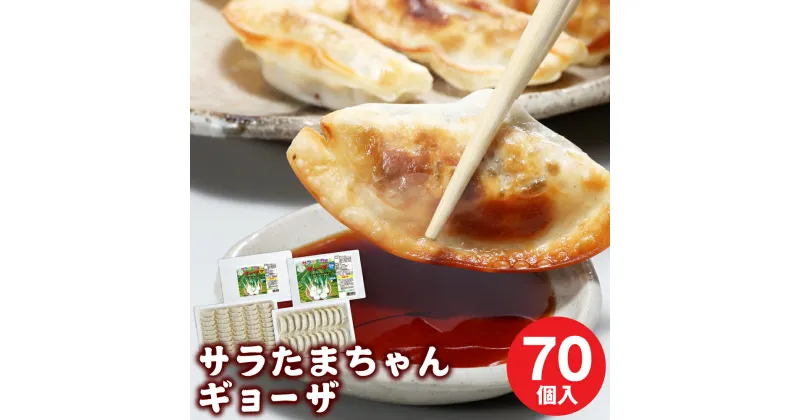 【ふるさと納税】サラたまちゃん ギョーザ 合計70個(50個+20個) 合計2箱 生餃子 餃子 ぎょうざ 玉ねぎ たまねぎ タマネギ 玉葱 オニオン 豚肉 惣菜 おかず 国産 九州産 熊本県産 水俣市産 冷凍 送料無料