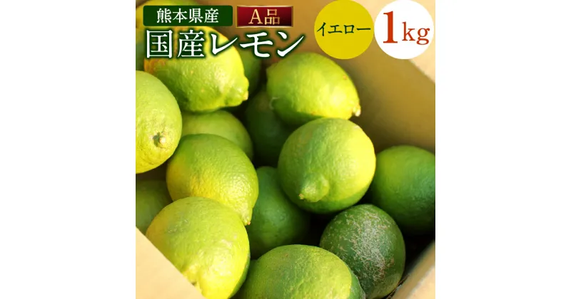 【ふるさと納税】国産レモン A品 約1kg 県認証特別栽培 熊本県産 レモン れもん 果物 檸檬 レモン果汁 フルーツ 料理 柑橘類 九州産 国産 防腐剤・ワックス不使用 送料無料【2024年11月上旬-2025年6月上旬迄発送予定】