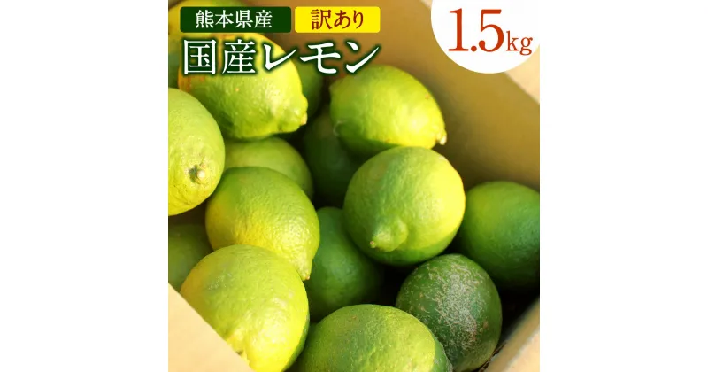 【ふるさと納税】国産レモン 訳あり 約1.5kg 県認証特別栽培 熊本県産 レモン れもん 檸檬 レモン果汁 ご家庭用 傷あり フードロス 柑橘類 九州産 国産 防腐剤・ワックス不使用 送料無料【2024年11月上旬-2025年6月上旬迄発送予定】