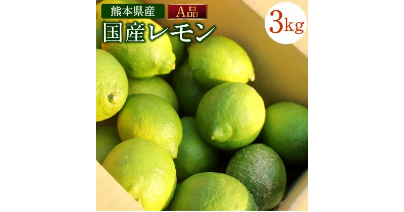 【ふるさと納税】国産レモン A品 約3kg 県認証特別栽培 熊本県産 レモン れもん 果物 檸檬 レモン果汁 フルーツ 料理 柑橘類 九州産 国産 防腐剤・ワックス不使用 送料無料【2024年11月上旬-2025年6月上旬迄発送予定】