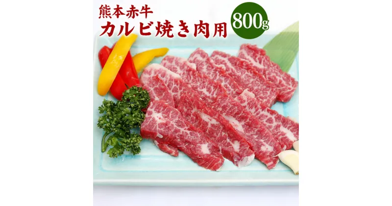 【ふるさと納税】熊本 赤牛 カルビ 焼き肉用 800g 国産 九州産 熊本県産 冷凍 肉 あか牛 牛肉 和牛 焼肉 BBQ 送料無料