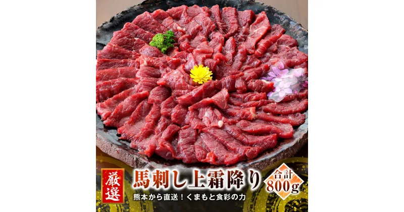 【ふるさと納税】熊本 馬刺し 上霜降り(トロ) 800g(50g×16個) たれ・生姜付き 小分け 真空パック 馬肉 国内肥育 生食用 新鮮 冷凍 送料無料