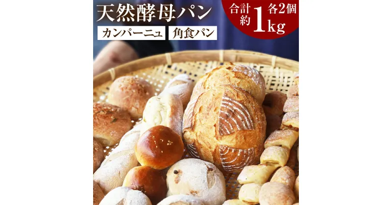 【ふるさと納税】天然酵母パン （カンパーニュ/角食パン1斤） 各2個 計1kg 食パン フランスパン 朝食 冷凍 動物性油脂不使用 送料無料