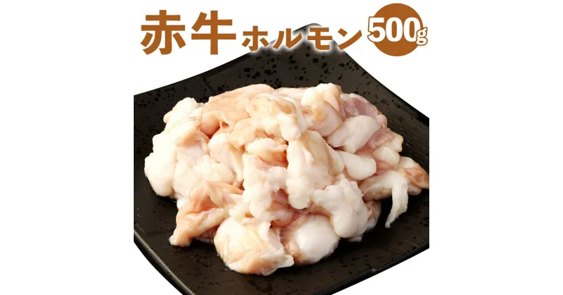 【ふるさと納税】赤牛 ホルモン 合計500g 250g×2パック あかうし ホルモン 小腸 牛ホルモン もつ 熊本県産 九州産 国産 冷凍 送料無料