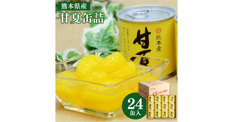 【ふるさと納税】甘夏 缶詰 24缶入 合計約7kg(295g×24) 柑橘 フルーツ 果物 加工品 食品 かんづめ セット 常温 国産 九州 熊本県 送料無料