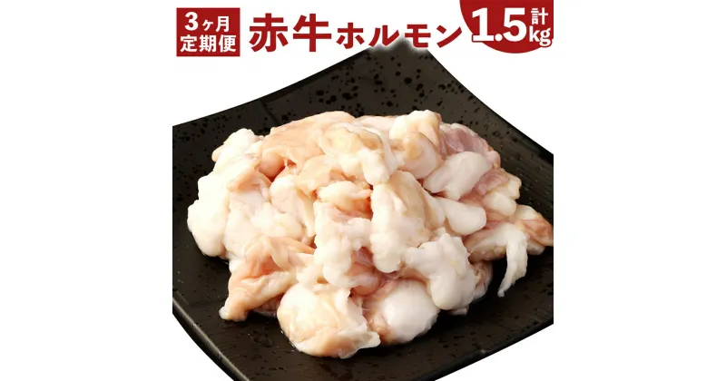 【ふるさと納税】【3ヶ月定期便】 赤牛 ホルモン 合計1.5kg (500g×3回) あかうし ホルモン 小腸 牛ホルモン もつ 熊本県産 九州産 国産 冷凍 定期便 送料無料