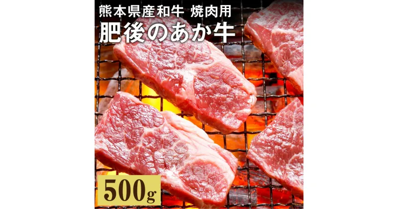 【ふるさと納税】肥後のあか牛 焼肉用 500g 熊本県産和牛 スライス あか牛 焼肉 焼き肉 牛肉 お肉 肉 国産 九州産 熊本県産 冷凍 送料無料