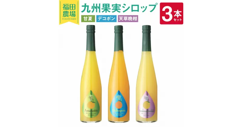 【ふるさと納税】九州果実 シロップ セット （甘夏、デコポン、天草晩柑）500ml×3本（各1本） 果物 くだもの フルーツ 柑橘 割り材 酎ハイ ハイボール カクテル 福田農場 熊本県産 九州産 国産 送料無料