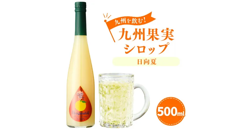 【ふるさと納税】九州を飲む！九州果実シロップ 日向夏 500ml 1本 果実 シロップ 柑橘 果汁 はちみつ ハチミツ 送料無料