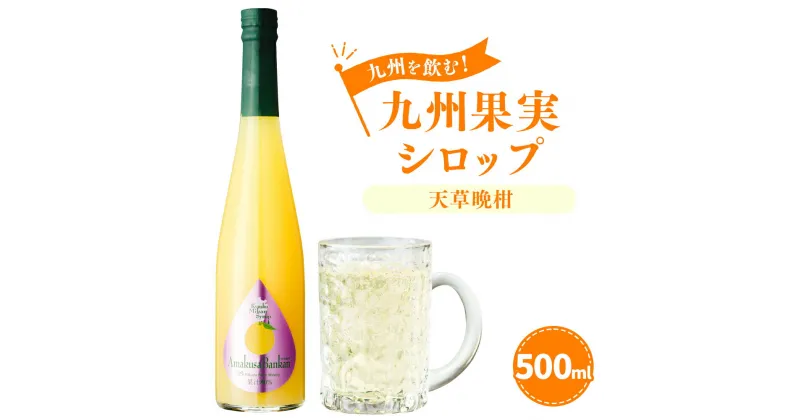 【ふるさと納税】九州を飲む！ 九州果実シロップ 天草晩柑 500ml 1本 晩柑 河内晩柑 グレープフルーツ 柑橘 果実 シロップ 果汁 はちみつ ハチミツ 国産 九州 熊本県 送料無料