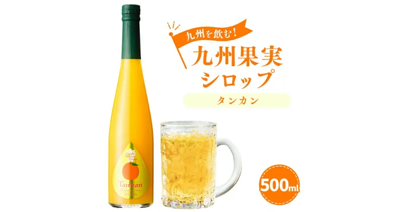 【ふるさと納税】九州を飲む！ 九州果実シロップ タンカン 500ml 1本 たんかん みかん 柑橘 果実 シロップ 果汁 はちみつ ハチミツ 国産 九州 熊本県 送料無料