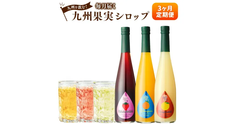 【ふるさと納税】【3ヶ月定期便】 九州を飲む！ 毎月届く九州果実シロップ 合計1.5L 500ml×3回 定期便 デコポン あまおう 日向夏 柑橘 果実 シロップ 果汁 はちみつ ハチミツ 国産 九州 送料無料